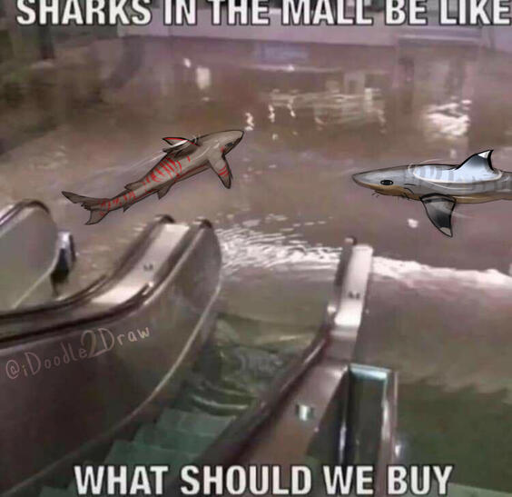 Pit [ThatSharko] &amp; Covyn [Dracrosinos