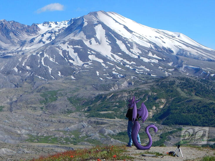 Zarish Silves [@Zarish_Silves]